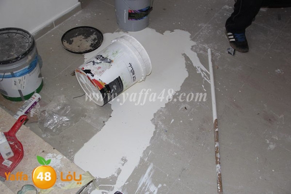 modahama lud 0216 (37).JPG